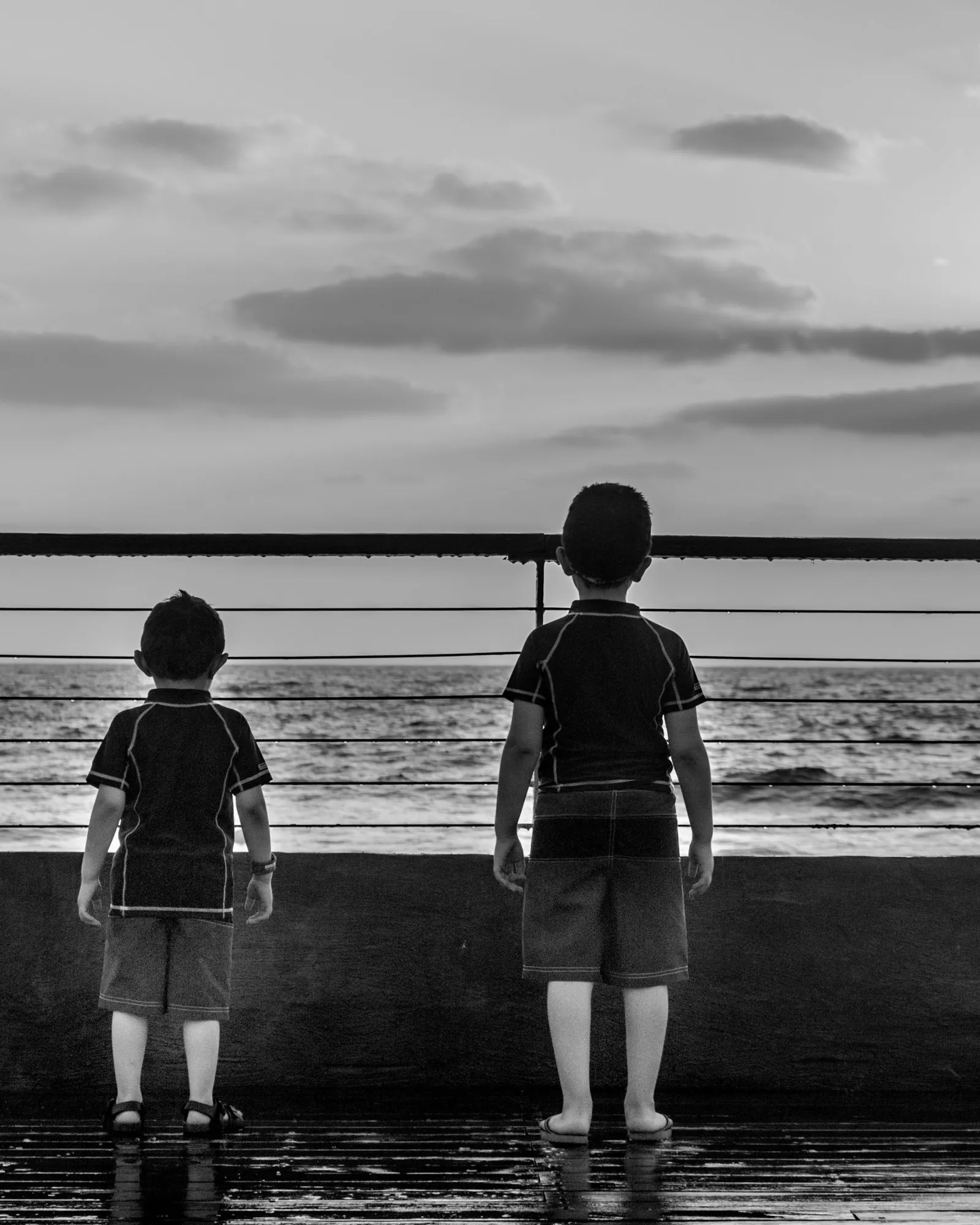 Two young boys stand side by side at a seaside railing, watching the waves together.